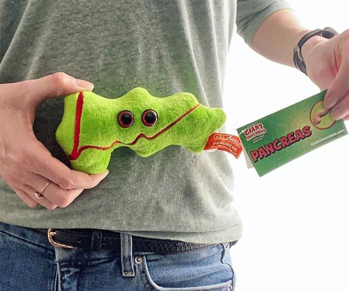 Pancreas plush guy