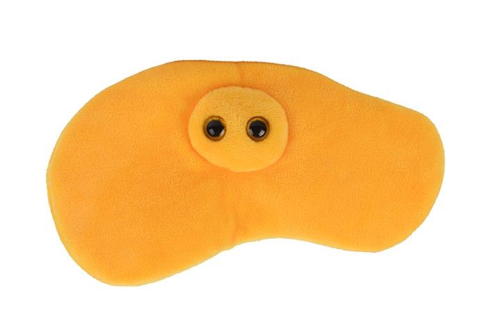 Pee plush front