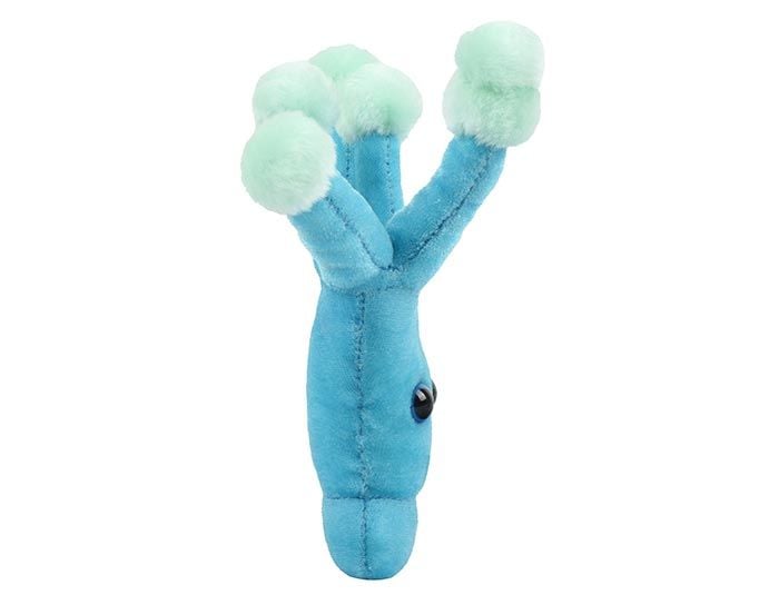 Penicillin plush side