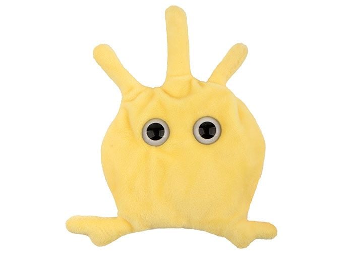 Platelet plush front