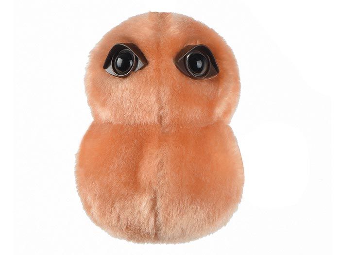 Pneumonia plush front