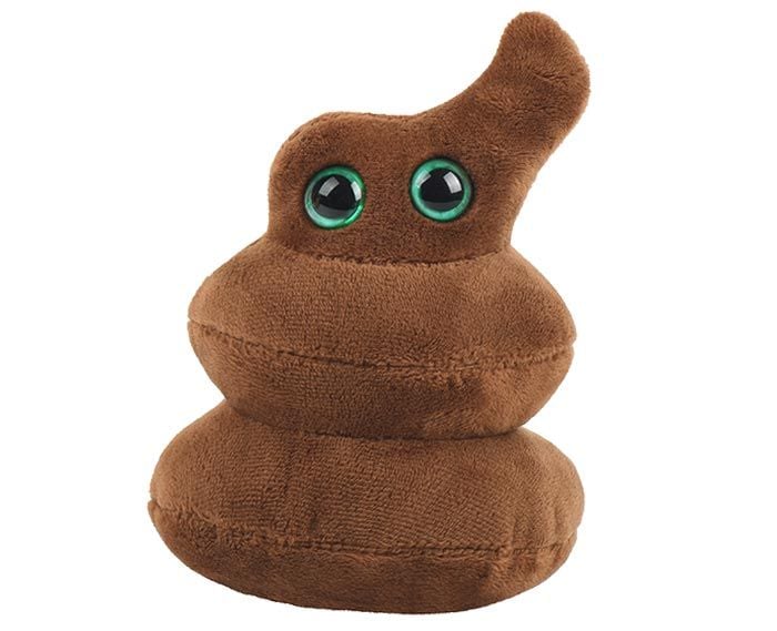 Poop plush front