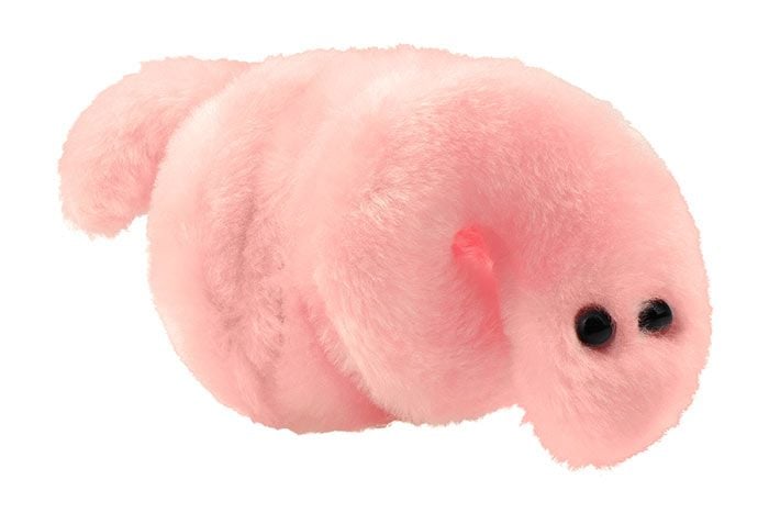 Pox plush front