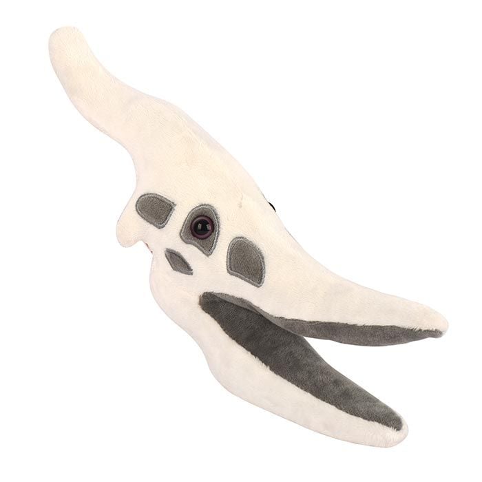 Pteranodon skull plush angle