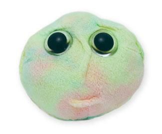 Stem Cell doll