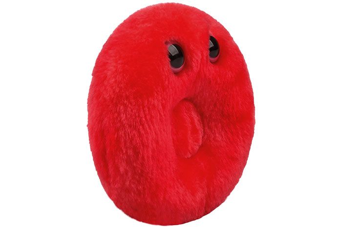 Red Blood Cell plush angle