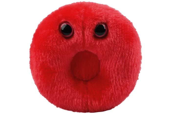 Red Blood Cell plush front