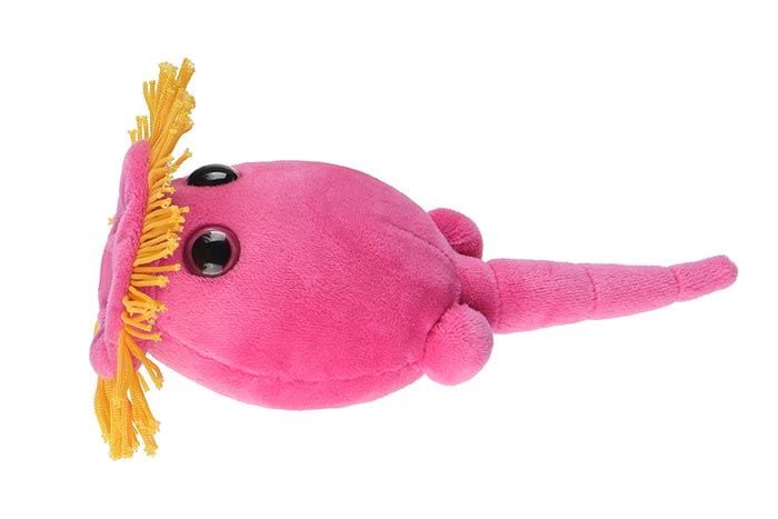 Rotifer plush side