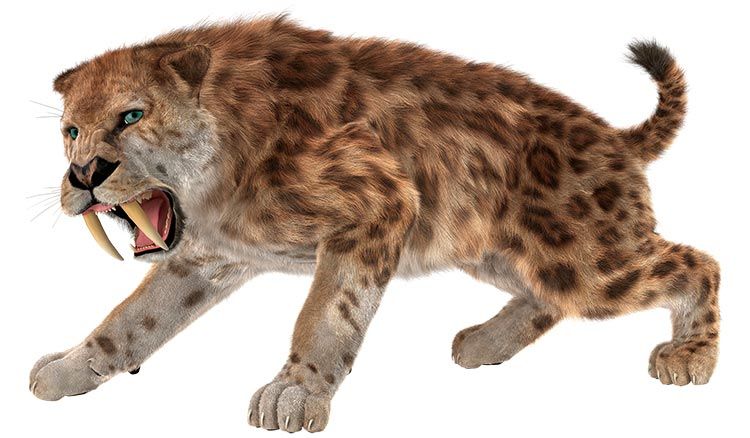 Smilodon dinosaur