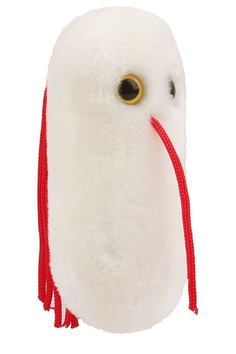 Salmonella plush angle