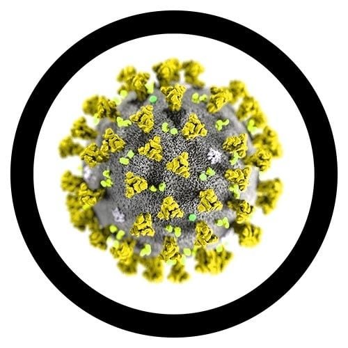 Coronavirus real image