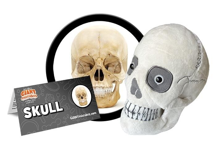 Skull plush cluster