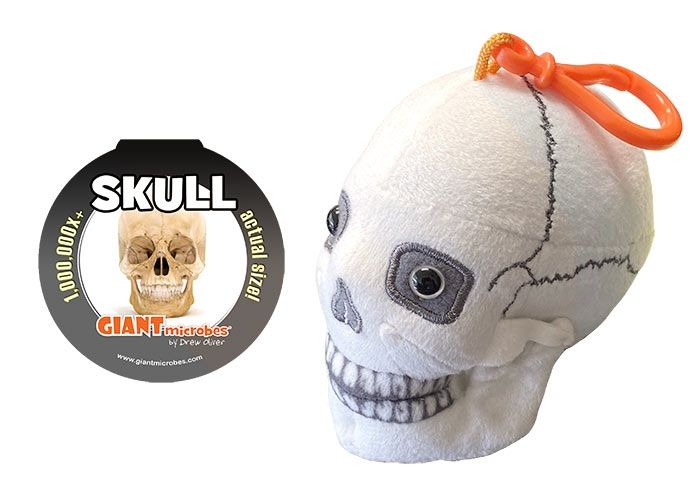 Skull key chain with tag