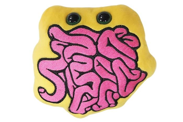 Small Intestine plush doll