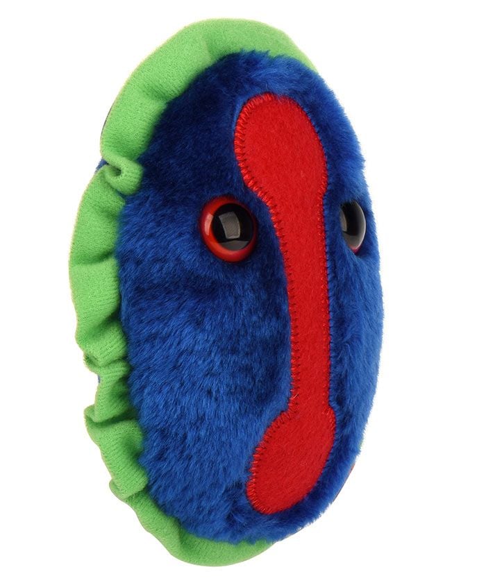 Smallpox plush angle