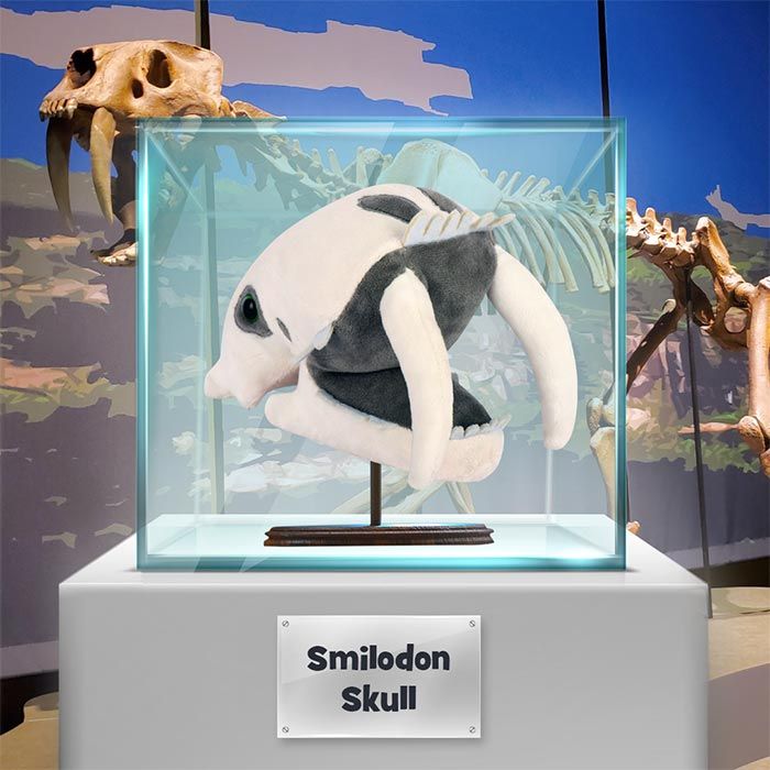 Smilodon plush in museum glass