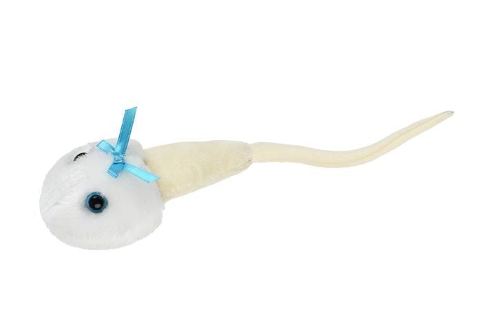 Sperm Cell plush angle view