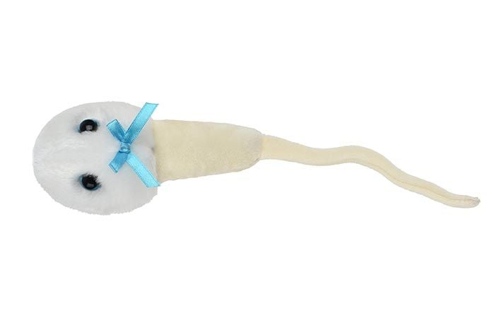 Sperm Cell plush top view