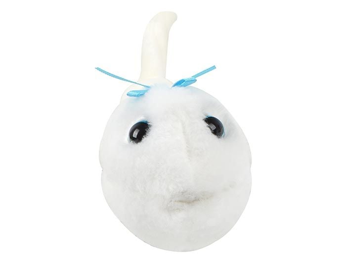 Sperm plush front view