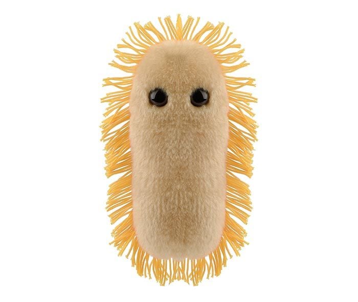 Stomach Ache plush front