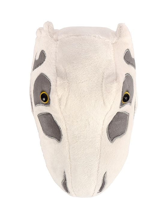 T. rex skull plush top