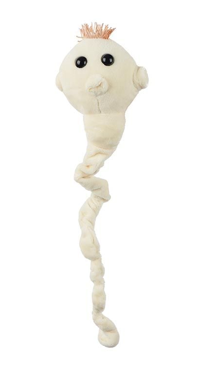 Tapeworm plush front