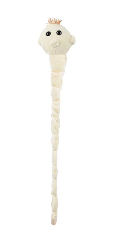 Tapeworm plush stretched out