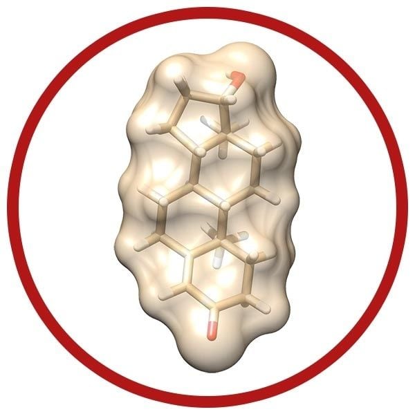 Testosterone molecule