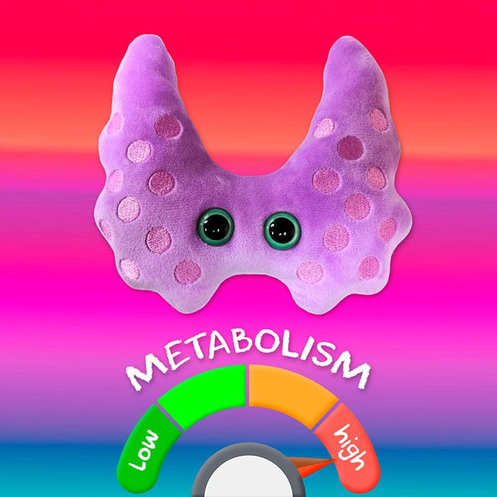 Thyroid metabolism