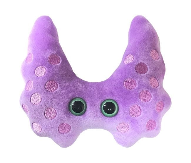 Thyroid plush doll