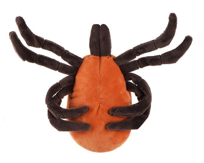 Tick plush back