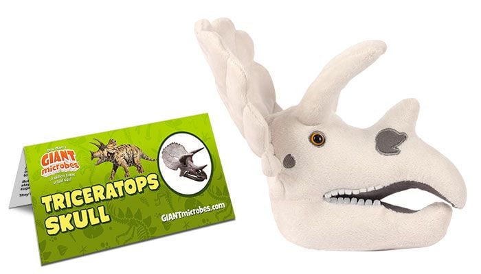 Triceratops skull dino plush tag