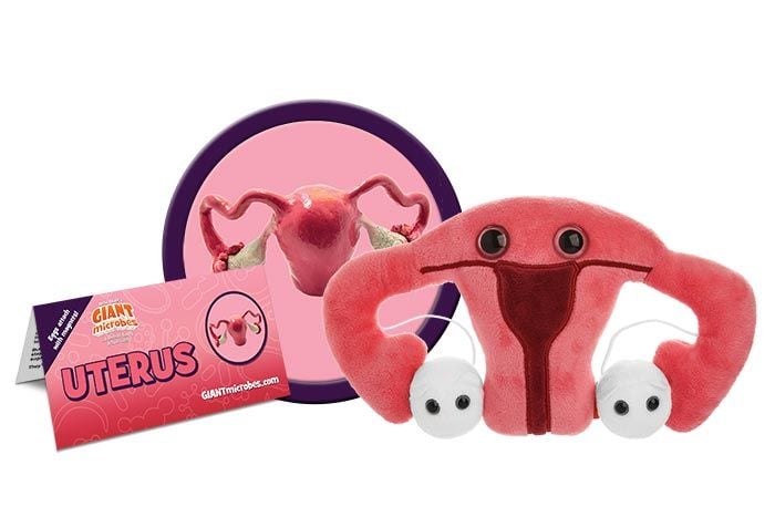 Uterus plush toy cluster image