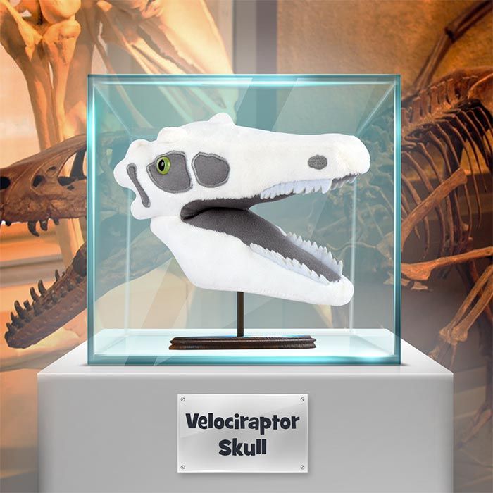 Velociraptor plush museum glass