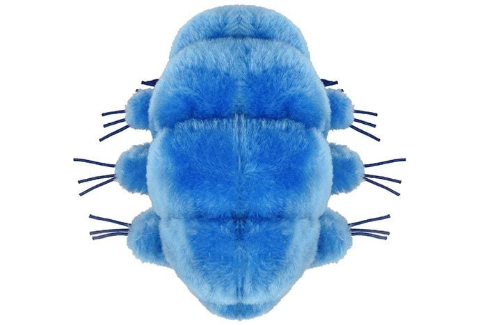 Giant hotsell microbes tardigrade