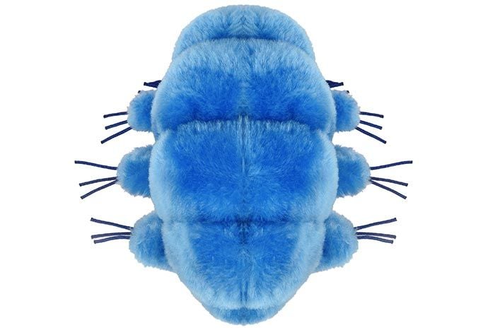 Waterbear plush doll top