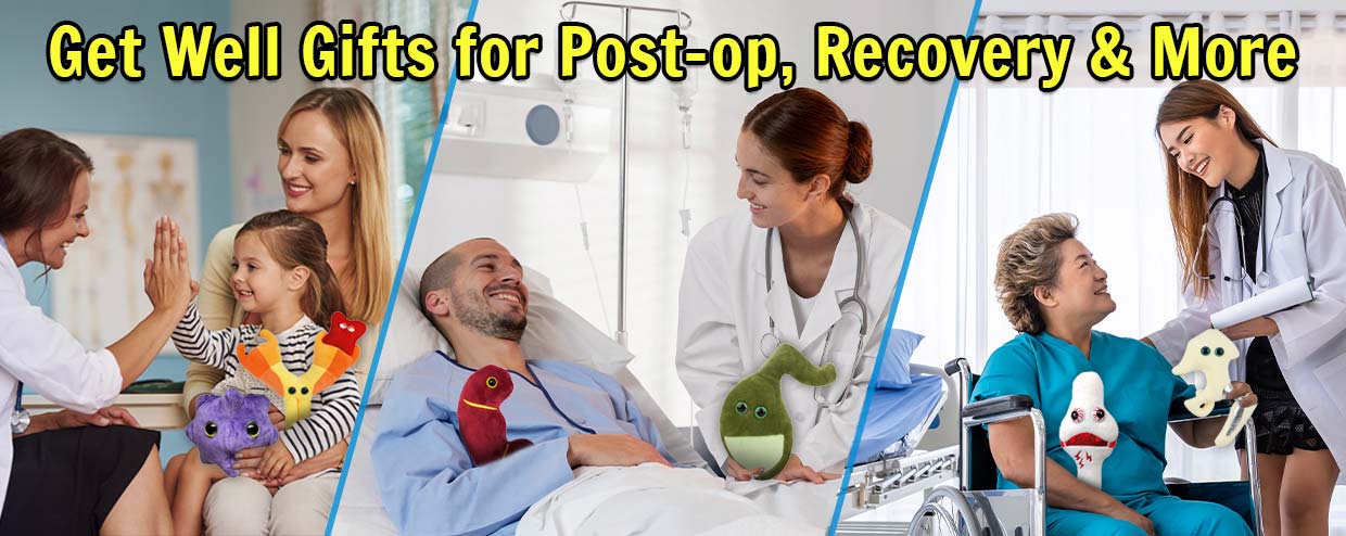 Get Well Gifts for Post-op, Recovery & More