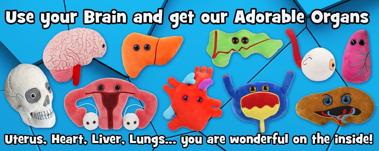 Use Your Brain and Get Our Adorable Organs