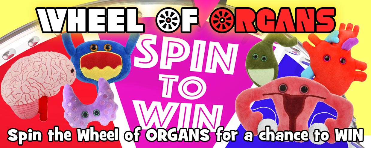 Spin the Wheel of ORGANS for a chance to WIN