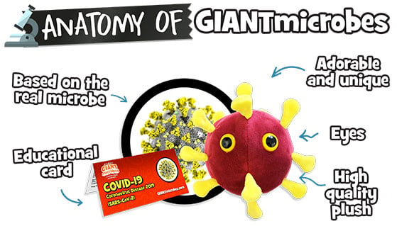 anatomy of giantmicrobes, based on the real microbes, adorable and unique