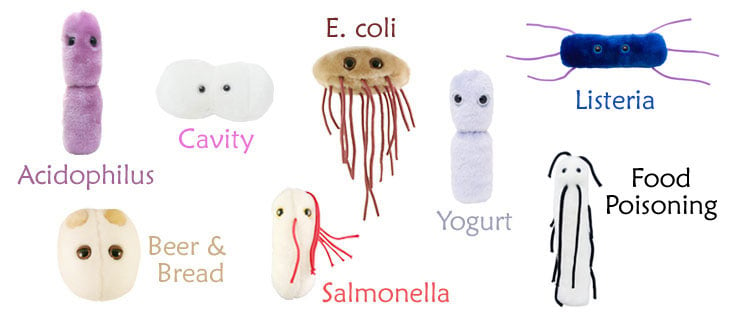 giant microbes listeria