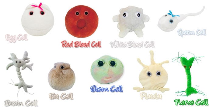 giant microbes red blood cell