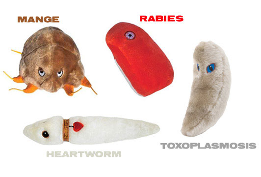 giant microbes rabies