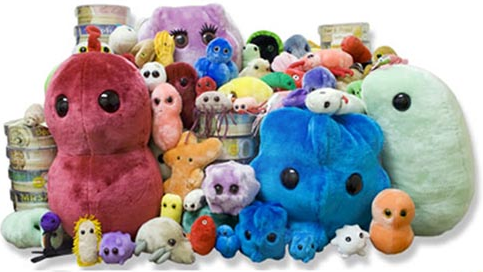 Giant Microbes Plush Toy Soft Original Gift Box Educational Biohazards Set of 5