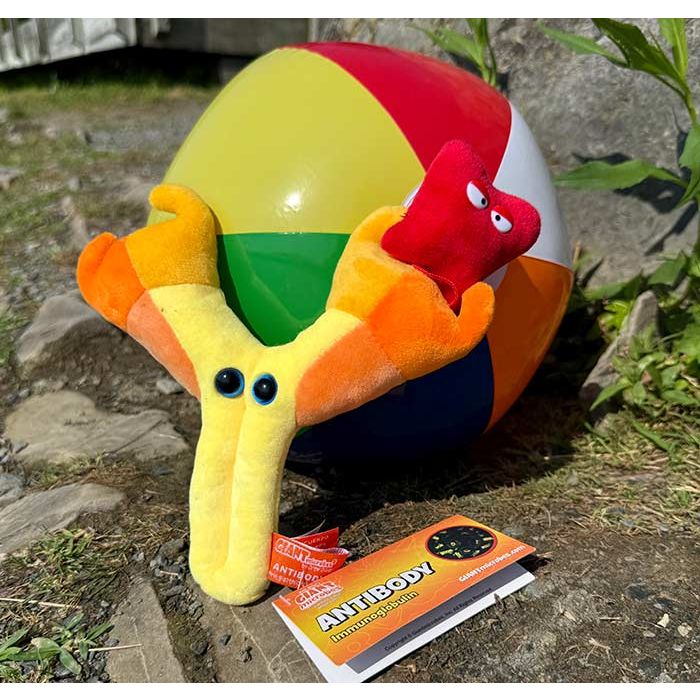 Antibody plush summer
