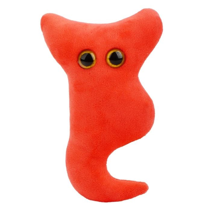 Appendix plush doll Appendix plush doll