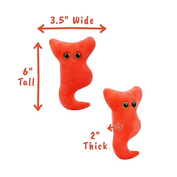 Appendix plush dimensions