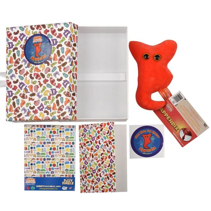 Appendix gift box all contents Appendix gift box all contents