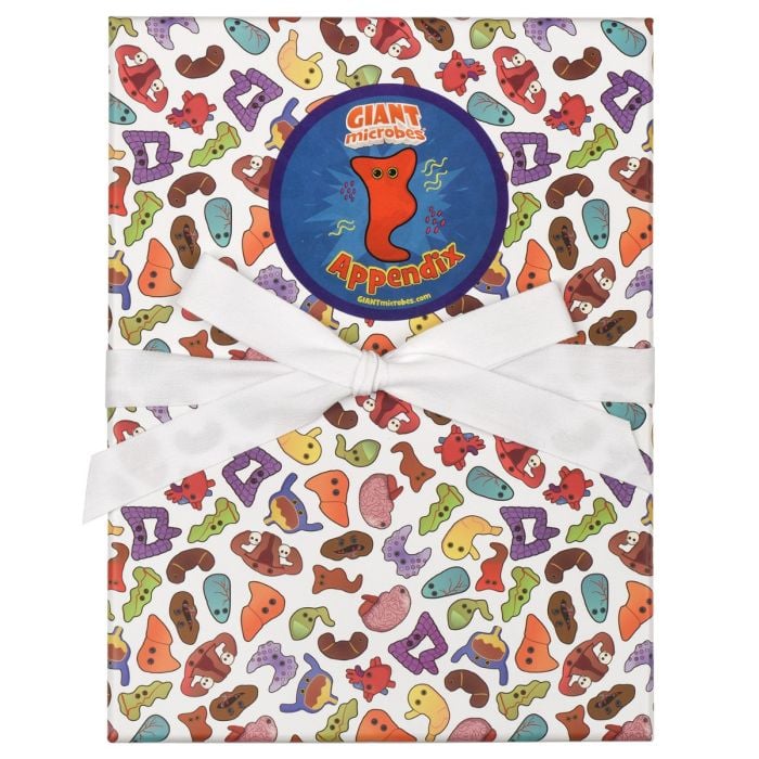 Appendix gift box front Appendix gift box front