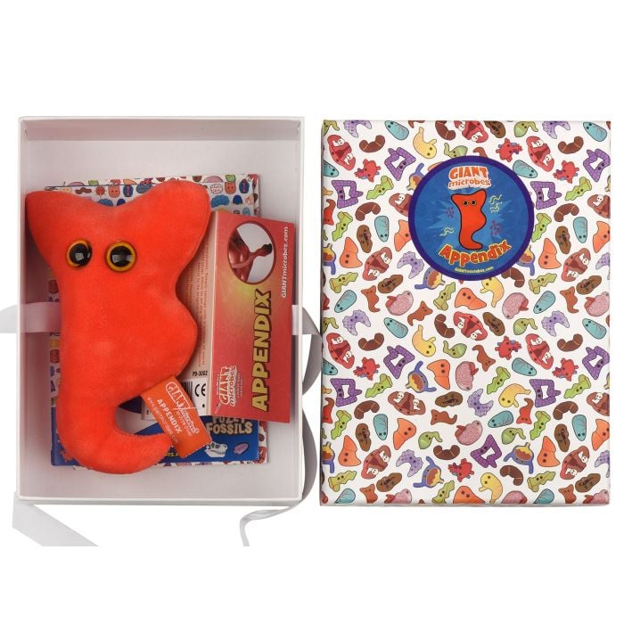 Appendix gift box open with plush Appendix gift box open with plush